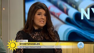 quotFörbudet signalerar bara kommunernas syn på tiggeriquot  Nyhetsmorgon TV4 [upl. by Padget]