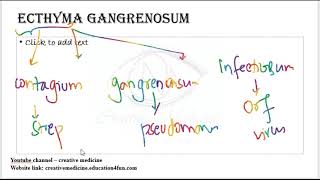 3 11 ecthyma gangrenosum mp4  Dermatology [upl. by Gonsalve]