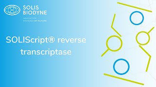 SOLIScript® reverse transcriptase [upl. by Koorb]