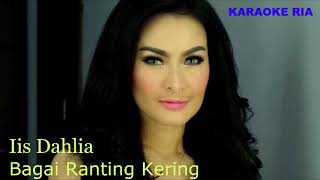 Lagu Dangdut Populer  Iis Dahlia  Bagai Ranting Kering Karaoke [upl. by Iolanthe260]