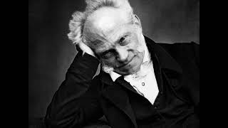 Schopenhauer On the Vanity amp Suffering of Life [upl. by Eimat442]