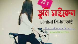 তুমি সাইকেল চালানো শিখবে তাই  Tumi caikel calano sikhebe tai  lofi mix slowed sad song★★★ [upl. by Rebm180]