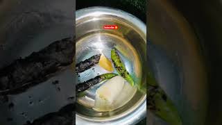 అత్తెసరు పచ్చిపులుసు attesaru pachipulusu food subscribe Parvathichinni1414 youtubeshorts [upl. by Rima]