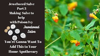 Making Jewelweed Salve Part 3 of Jewelweed Series [upl. by Harlan]