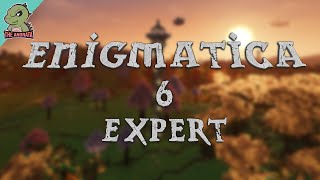 Enigmatica 6 Expert EP01  A New Challenge Appears  Minecraft 116 [upl. by Oam]