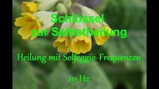 Heilung mit Solfeggio Frequenzen 111 Hz [upl. by Ashelman]