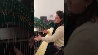 Marguerite Dunne Irish Harpist plays quotThe Glass of Beerquot Reel celticharp irishmusic pilgrimharps [upl. by Edas1]