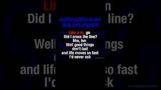 Billie Eilish WILDFLOWER Karaoke Version Lyrics [upl. by Barnabas]