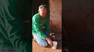 doação vidanaroça adote dog fazenda adocaodeanimais nature gado amorpeloagro adocao [upl. by Aleil]