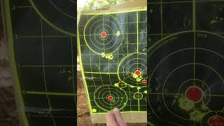 Crosman Premier Domed VS Hades Hollow Point  from the Crosman Icon [upl. by Maloy]