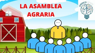 LA ASAMBLEA AGRARIA [upl. by Elbring661]