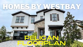 Hawkstone by Homes by Westbay  Pelican Floorplan  LithiaFishhawk Florida [upl. by Kred]