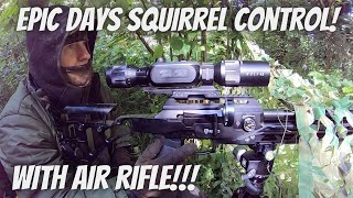 Great Session   Grey Squirrel Control with Air Rifle FX Dreamline 22 amp JSB Hades [upl. by Ajdan489]