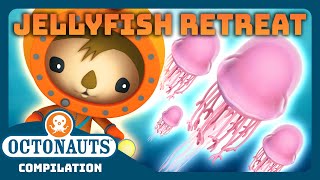 Octonauts  🎐 Jellyfish Retreat 🏖️  3 Hours Full Episodes Marathon  Explore the Ocean [upl. by Otero605]