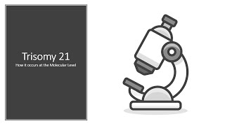 Trisomy 21 How it Occurs at the Molecular Level [upl. by Iron376]