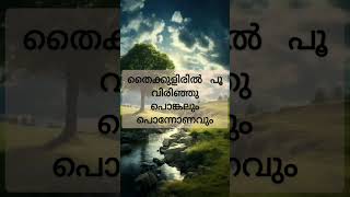 Thamburu kulir choidiyo Malayalam melody poovu song Malayalam [upl. by Agnola]