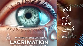 Lacrimation آنکھ سے پانی کیسے آتا eyes tranding optometry eyecondition eyedisease [upl. by Myrt644]