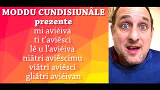 Andrea Di Marco  IMPARA O ZENEISE 3  Il condizionale SUB ITA [upl. by Alaekim543]