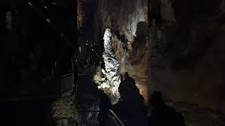 Grotta Gigante inside the biggest cave in the world 🌎🌍🌎🌎🌎 [upl. by Aeli]