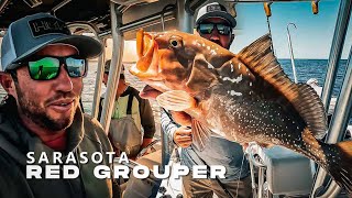 Sarasota Offshore Fishing MultiSpecies Red Grouper Shark and Snapper Florida Offshore 2024 [upl. by Evslin]