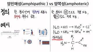 생물에 필요한 화학 22 양친매성amphipathic과 양쪽성amphoteric의 차이가 뭐지 예시 암기법 포함 [upl. by Izawa]