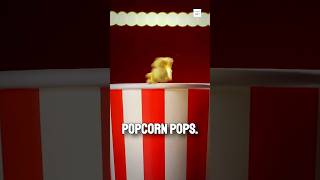 Why Does Popcorn Pop 🌽 [upl. by Anaxor717]