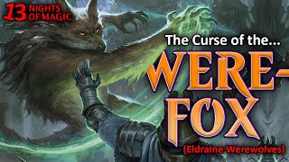 WEREWOLVES OF ELDRAINE Cursed Werefox  MTG Lore [upl. by Eornom830]