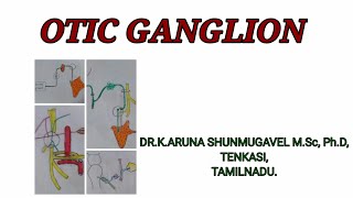 Otic ganglion  Location  Roots  Development  Clinical Anatomy  Animated video [upl. by Yeniar514]