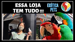 COMPRE AQUI SUA AVE  COISAS PARA O SEU PET [upl. by Addiego]