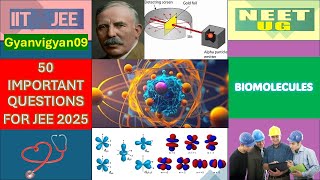 50 Important Questions on Biomolecules for JEE 2025 [upl. by Attikram704]