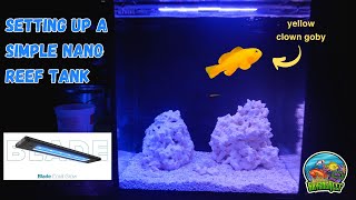 Setting Up A Simple Nano Reef Tank AI Blade  More [upl. by Letsyrhc421]