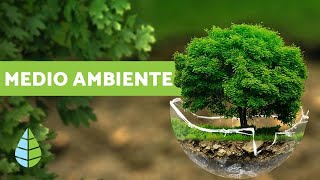 ¿QUÉ ES EL MEDIO AMBIENTE  Definición y resumen [upl. by Esimaj]