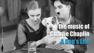 Charlie Chaplin  Dogs Life Theme [upl. by Strickman]