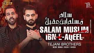 Shahadat Muslim Bin Aqeel Noha 2023  SALAM MUSLIM IBN E AQEEL  Tejani Brothers  9 Zilhaj Noha [upl. by Fabio]