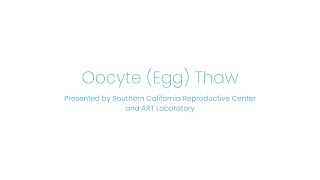 Oocyte Egg Thaw [upl. by Cedric]