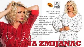 Vesna Zmijanac  Sve za ljubav  Audio 2011 [upl. by Ecurb]