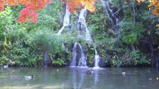 Shura Cherkassky plays Abram Chasins quotFlirtation in a Chinese Gardenquot [upl. by Hilly641]