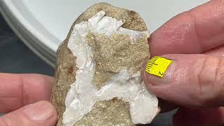 AUSTRALIAN OPAL ROUGH MINTABIE CHUNKS SPECIMENS OR GEM CUTTERS opaldigger BID NOW LINK 99 cents ↓↓ [upl. by Nodnrb]