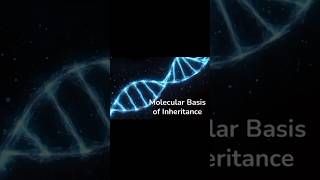 Molecular Basis of Inheritance  class 12  part  1 class12 12thbiology [upl. by Nosahc]