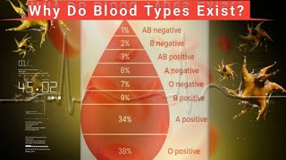 Why Do Blood Types Exist  A Deep Dive into Human Biology [upl. by Hadley]