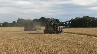 1960s combines working at Little Ellingham working event [upl. by Nalat]