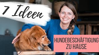 Hundebeschäftigung im Haus – 7 Ideen für artgerechte Spiele  Lilies Diary  Anzeige [upl. by Coulson]