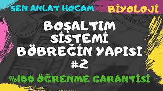 BOŞALTIM SİSTEMİ KONU ANLATIMI 4  BÖBREK YAPISI 2  AYT BİYOLOJİ  ✅ [upl. by Klehm]