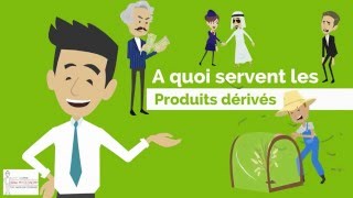 LES PRODUITS DÉRIVÉS  DME [upl. by Navlys]