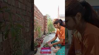 Plastic box से planter kese banaye ytfeed planter diypot plasticboxreuse [upl. by Eibrab496]