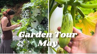 Garden Tour May Vertical Hydroponic System  Homestead Gardening using Vertical Aeroponic Tower [upl. by Strepphon556]