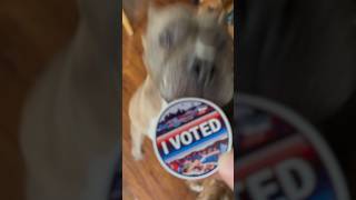 Frank Says “Go Vote” 🗳️ Today is Election Day WA SlowDownMoveOver Vote ElectionDay Election [upl. by Nuahsed]