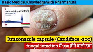 Itraconazole  Candiforce 200  fungal infection की दवा  Uses side effects  Medicine information [upl. by Hartnett]