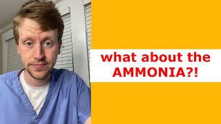 Should you check an AMMONIA level [upl. by Kimball260]