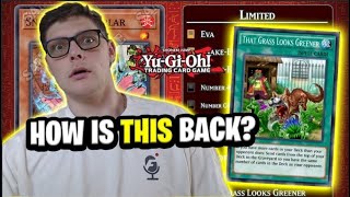 FORMAT WARPING YuGiOh Official August 2024 TCG Banlist LIVE REACTION [upl. by Ahsit]